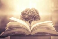 小米11和11pro区别有哪些（小米11和11pro哪个好）